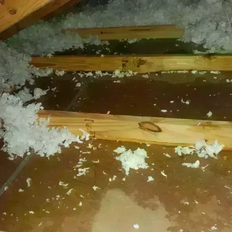 Attic Water Damage in Kouts, IN